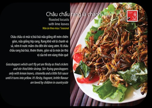 Insektenessen in Hanoi – wollen Sie probieren? - ảnh 1